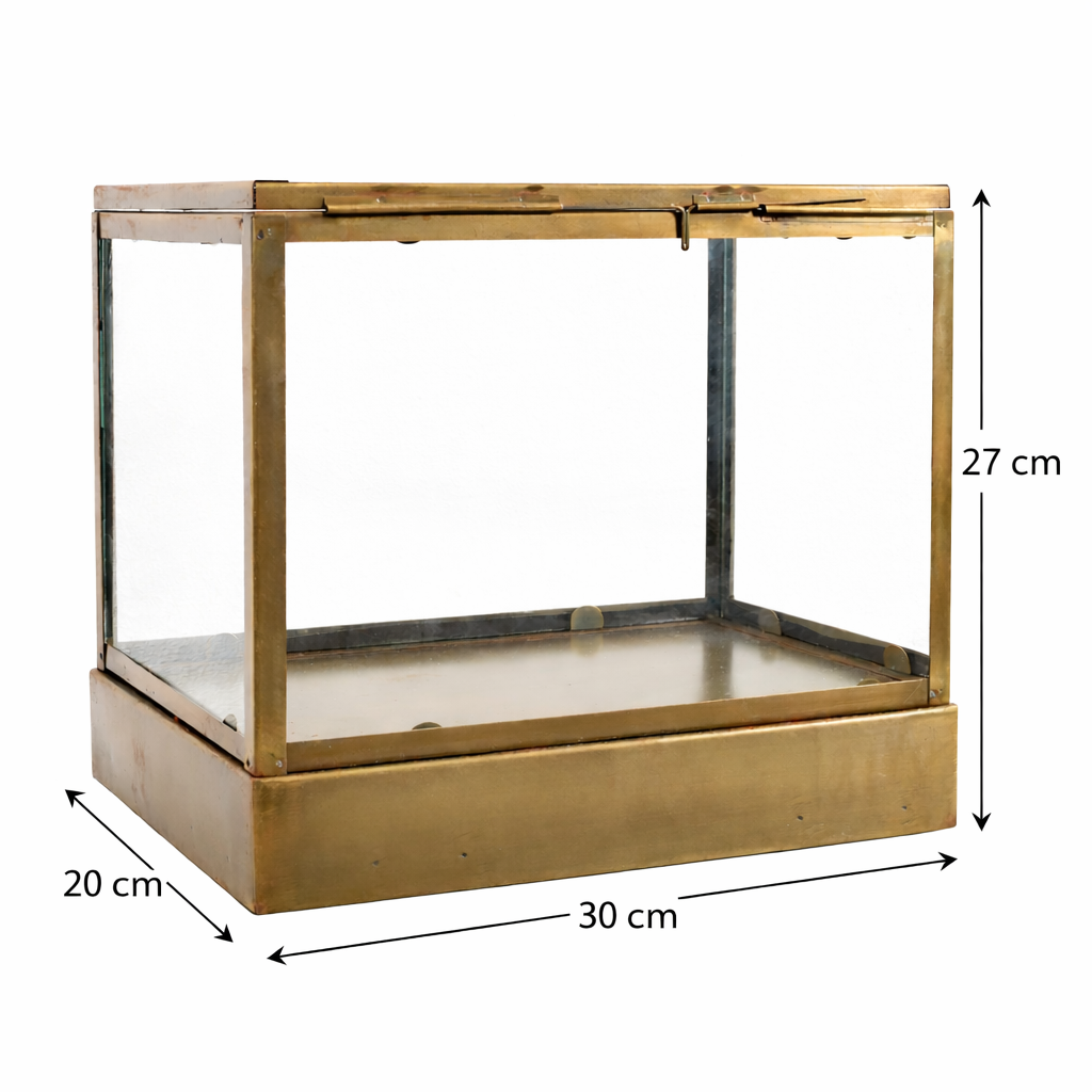 LOFT42 Showy Glazen Display Box Antiek Messing - Metaal - (27x30x20)